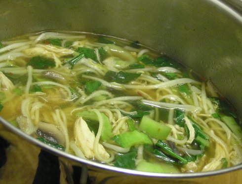 Simmering Asian Chicken Noodle Soup