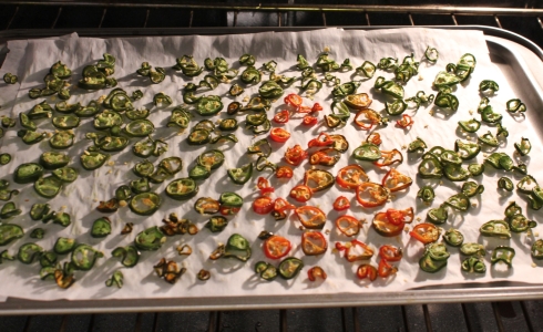 Jalapenos Drying Out